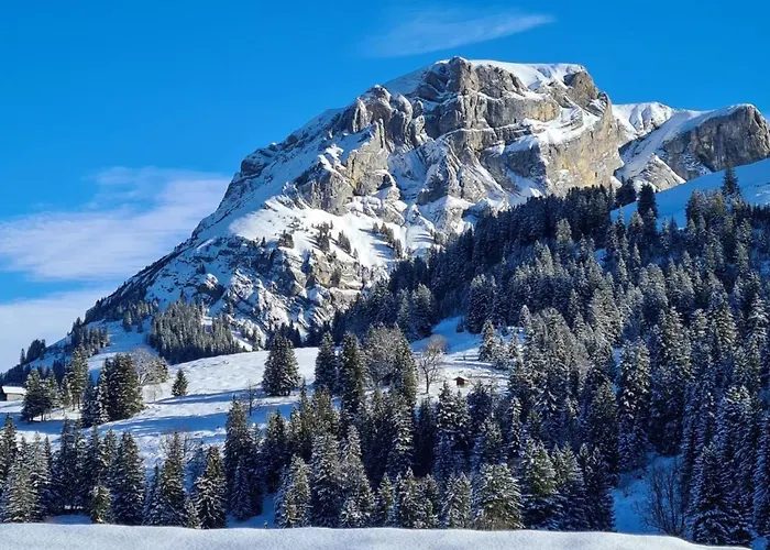 Specht By Interhome Dom wakacyjny Axalp